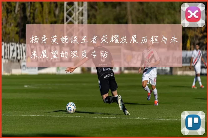 杨秀英畅谈王者荣耀发展历程与未来展望的深度专访