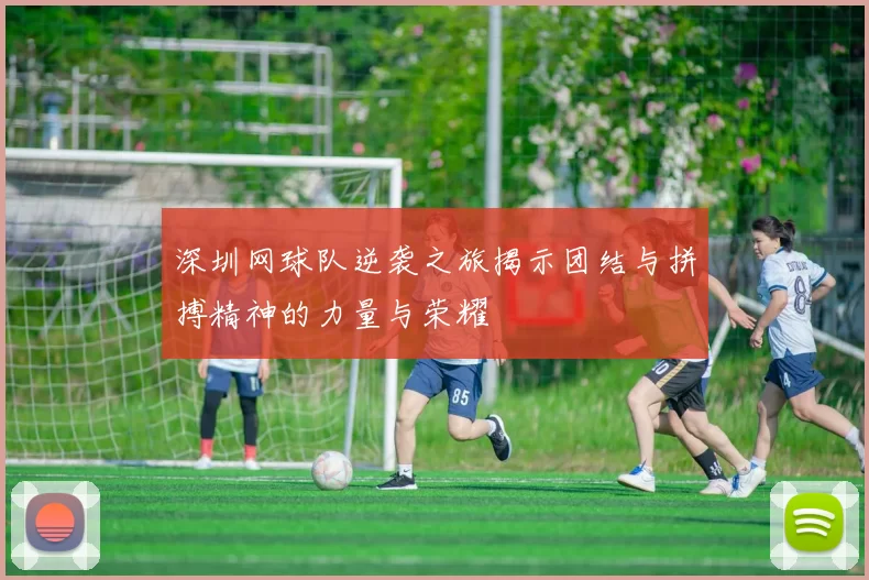 深圳网球队逆袭之旅揭示团结与拼搏精神的力量与荣耀