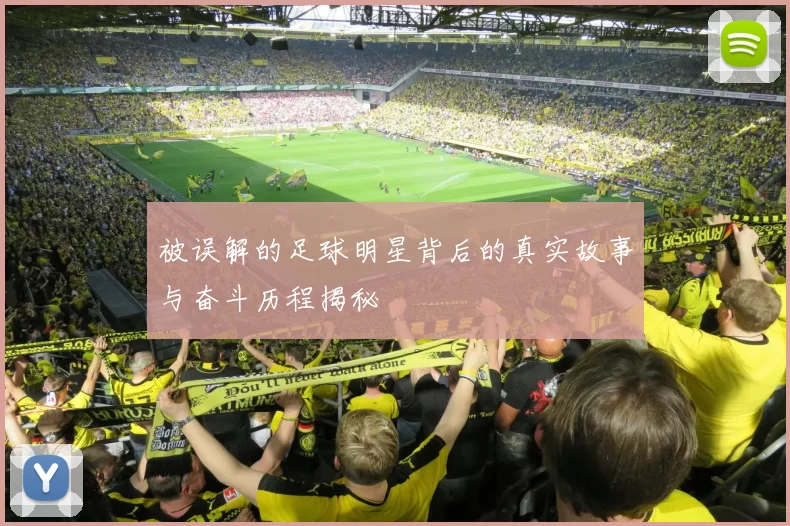 被误解的足球明星背后的真实故事与奋斗历程揭秘