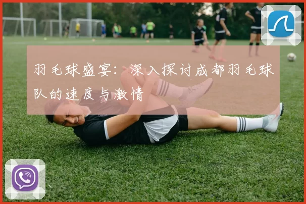 羽毛球盛宴：深入探讨成都羽毛球队的速度与激情