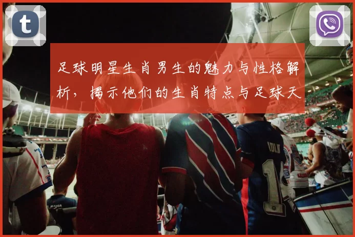 足球明星生肖男生的魅力与性格解析，揭示他们的生肖特点与足球天赋