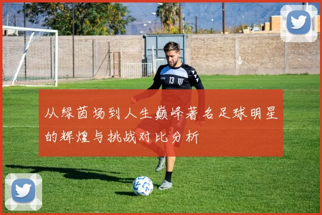 从绿茵场到人生巅峰著名足球明星的辉煌与挑战对比分析