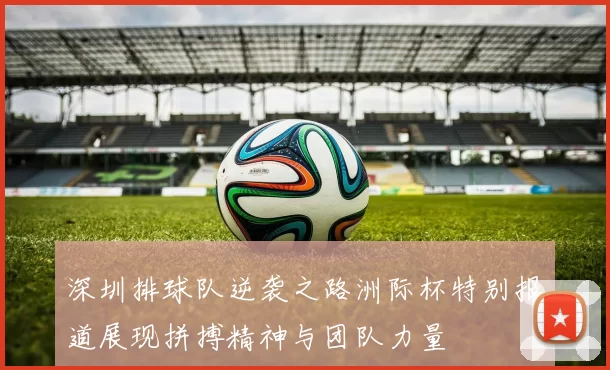 深圳排球队逆袭之路洲际杯特别报道展现拼搏精神与团队力量