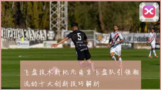 飞盘技术新纪元南京飞盘队引领潮流的十大创新技巧解析