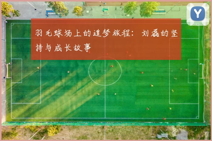 羽毛球场上的追梦旅程：刘磊的坚持与成长故事