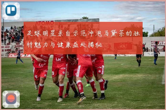 足球明星亲自示范冲泡马黛茶的独特魅力与健康益处揭秘