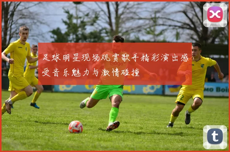 足球明星现场观赏歌手精彩演出感受音乐魅力与激情碰撞