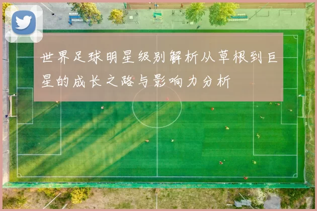 世界足球明星级别解析从草根到巨星的成长之路与影响力分析