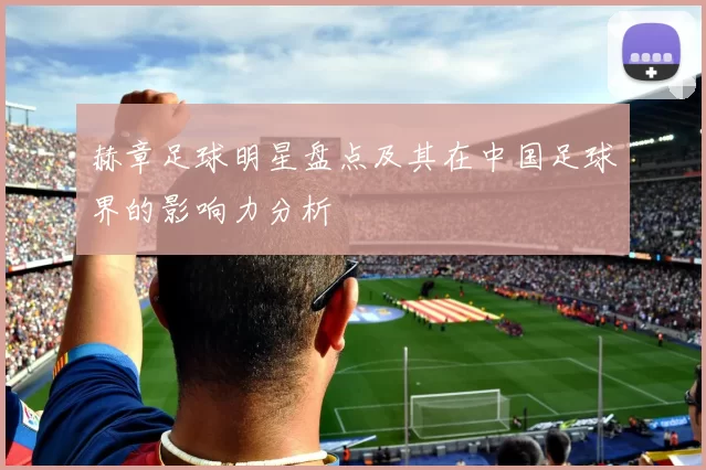 赫章足球明星盘点及其在中国足球界的影响力分析