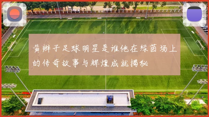黄辫子足球明星是谁他在绿茵场上的传奇故事与辉煌成就揭秘