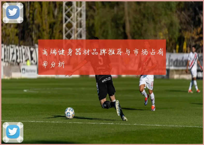 高端健身器材品牌推荐与市场占有率分析