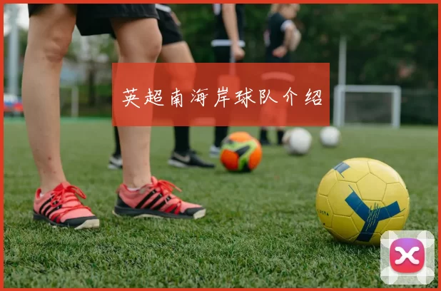 英超南海岸球队介绍