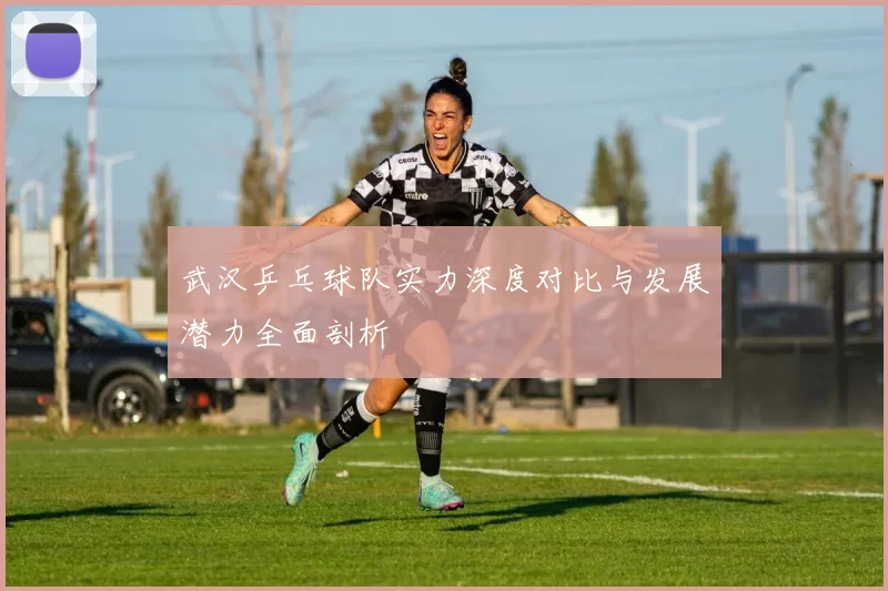 武汉乒乓球队实力深度对比与发展潜力全面剖析