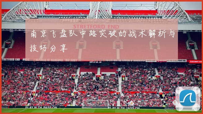 南京飞盘队中路突破的战术解析与技巧分享