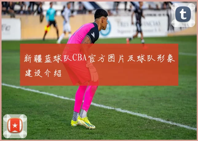 新疆蓝球队CBA官方图片及球队形象建设介绍