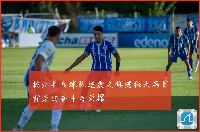 杭州乒乓球队逆袭之路揭秘大满贯背后的奋斗与荣耀